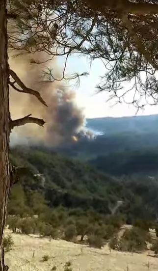 YAYLADAĞI'NDAKİ YANGIN