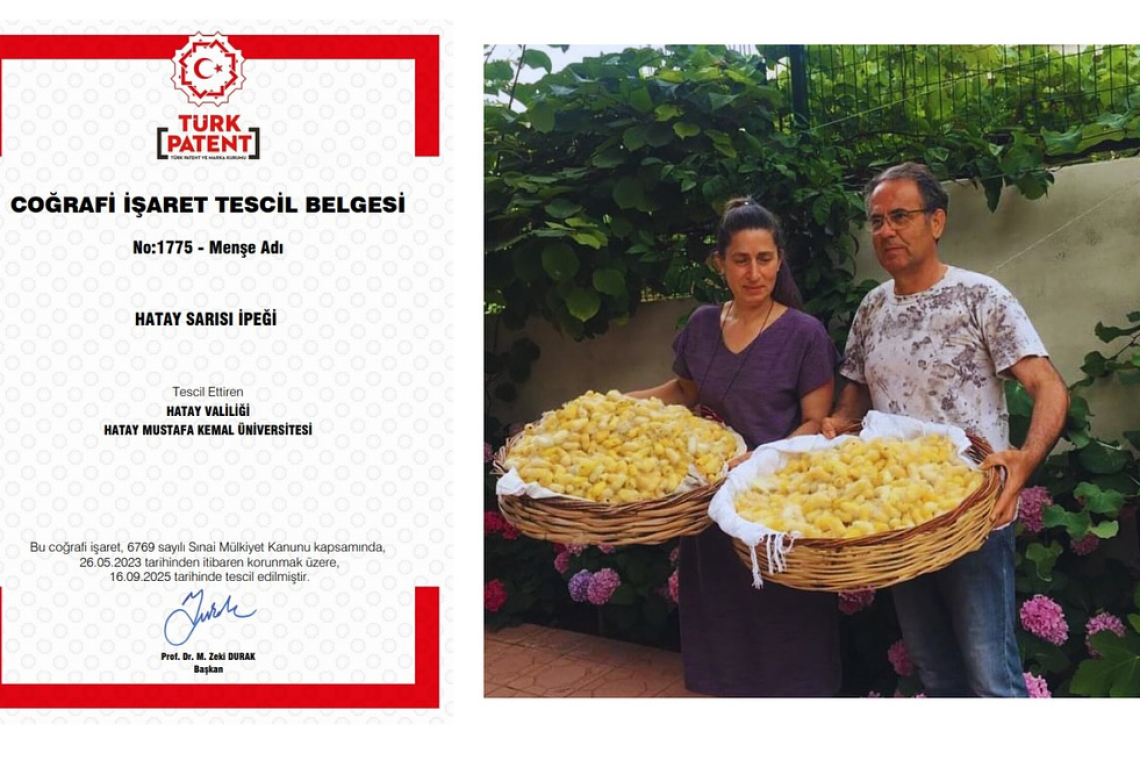 HATAY SARISI İPEĞİ TESCİLLENDİ