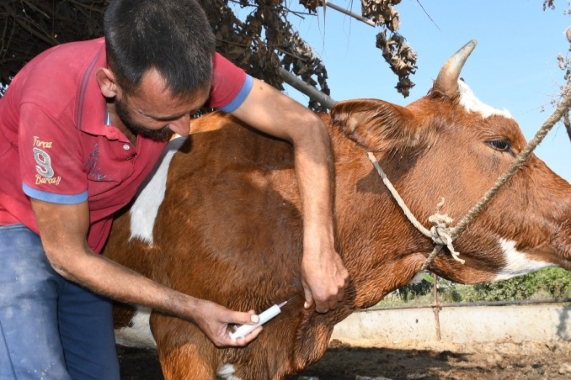 HATAY'DA ÜÇ GÜN HASTALIĞI UYARISI