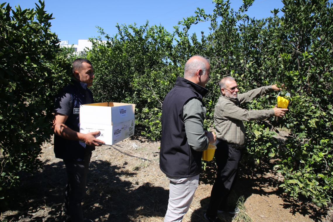 HATAY'IN 5 İLÇESİNE SİNEK TUZAĞI 