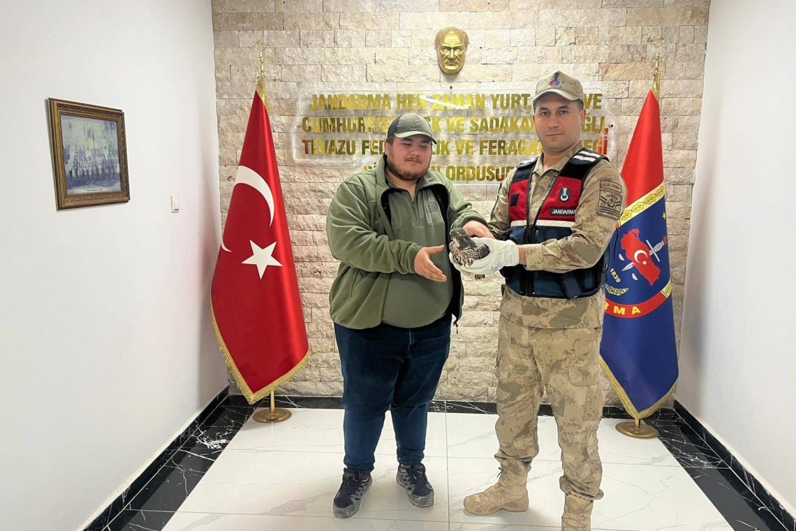 Yaralı Atmaca Tedavi Altına Alındı