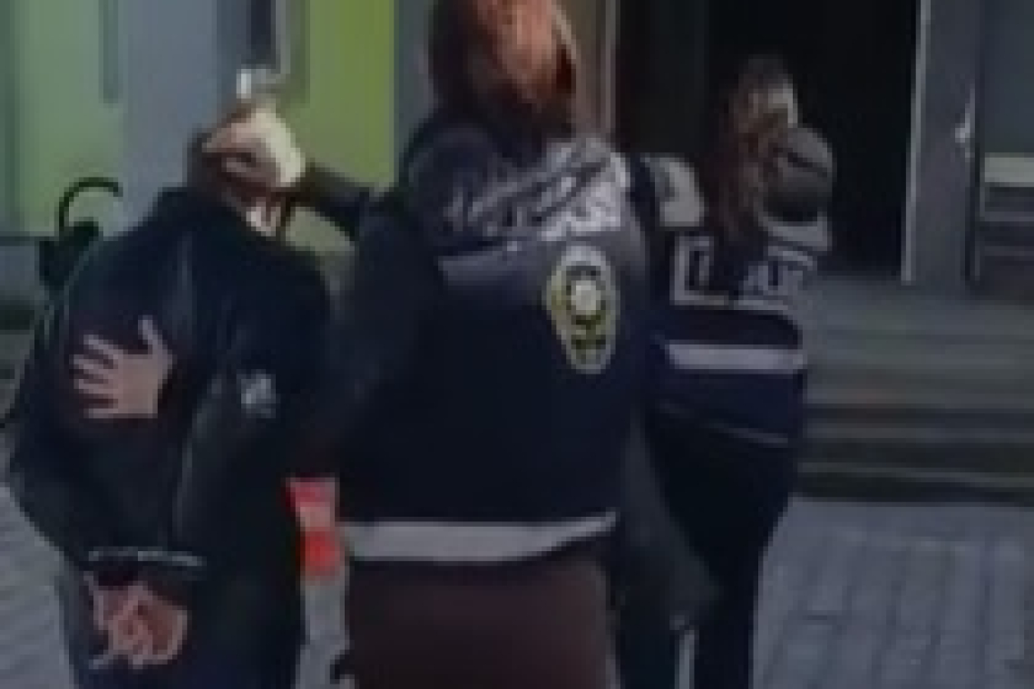Defne Altın Hırsızlığında 2 Tutuklama