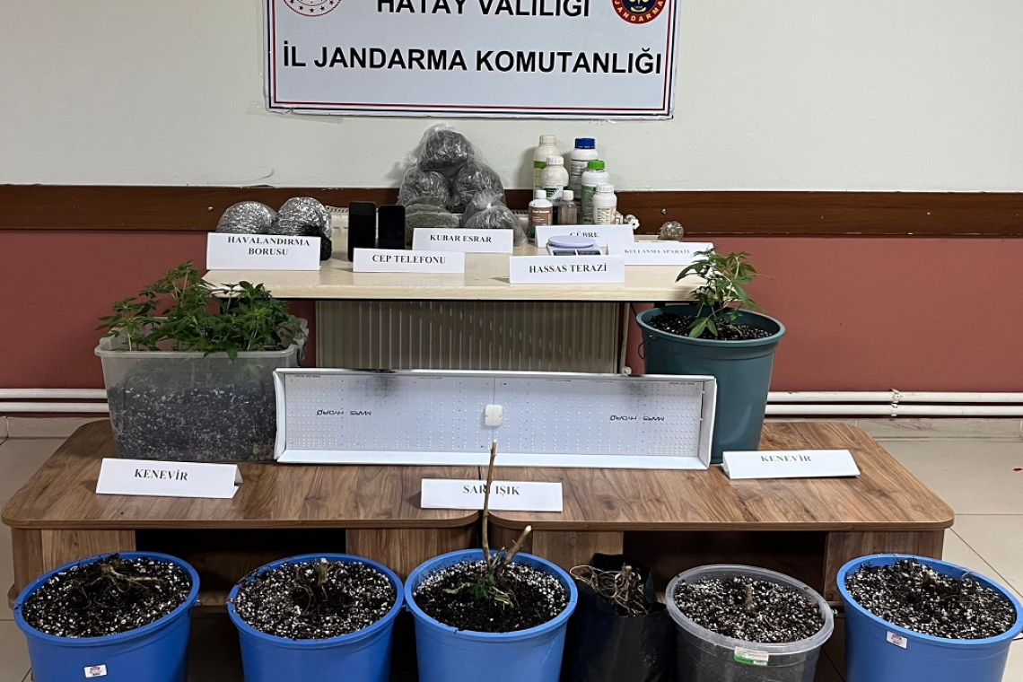 Evinde Uyuşturucu Yetiştirenlere Baskın