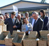 İstilacı Bitkiden Dekoratif Sepet ve Çantalar