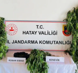 Jandarma’dan Kenevir Mesaisi 