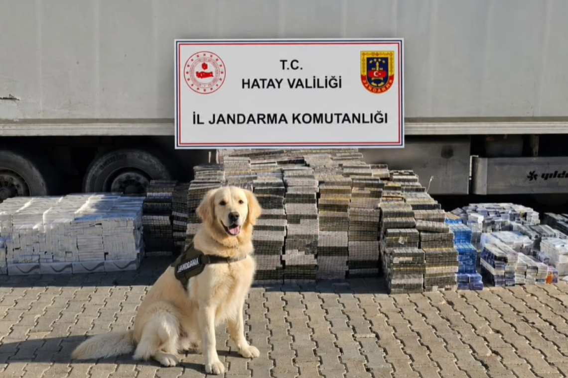 Jandarma’dan Kırıkhan’da Kaçakçılara Geçit Yok