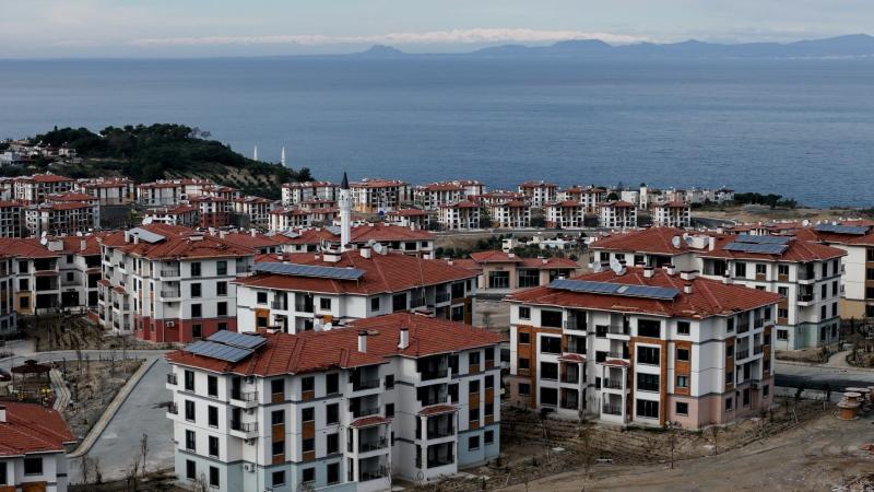 1098.jpg