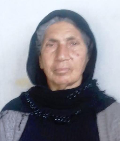 bartık8800_n.jpg