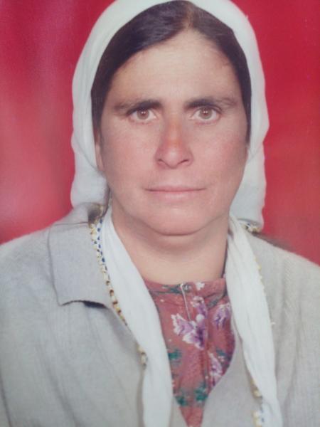 bolat258jpeg.jpg