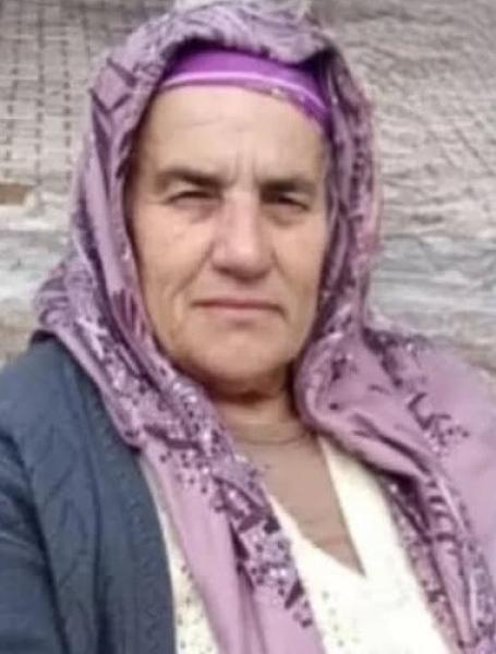 dönmez377jpeg.jpg