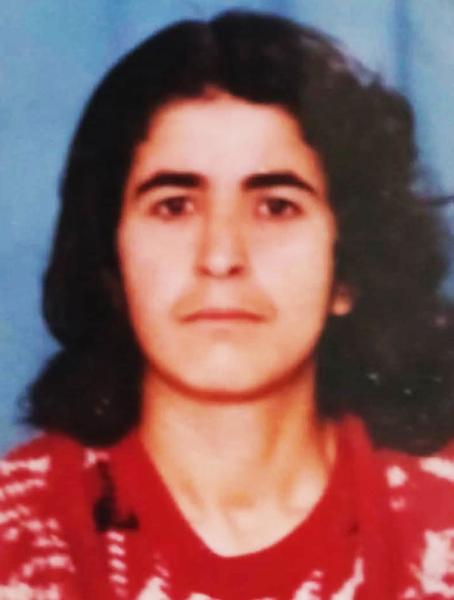 gülüm4716648_n.jpeg