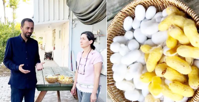hatay-sarisi-ipegi-cografi-isaret-tescili-aldi.jpg