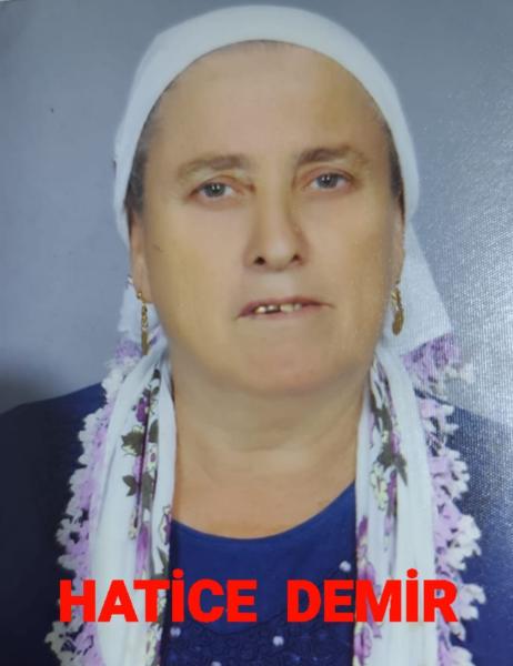 hatice38707214355_n.jpg