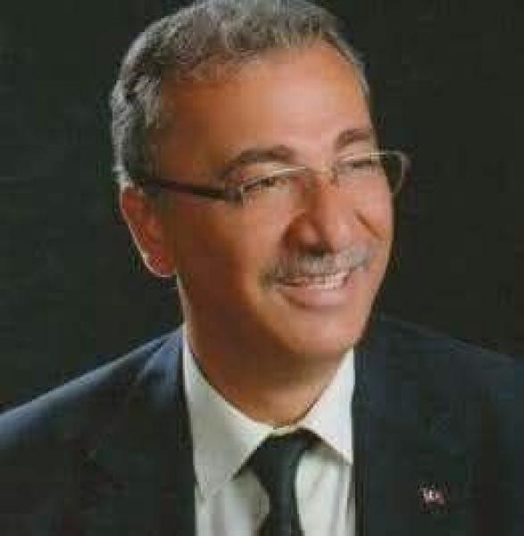 kiraz744104396772_n.jpg