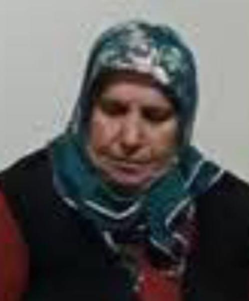 pahçer3580_copy.jpg
