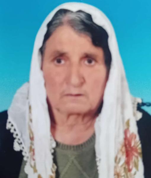 sarı13803271_n.jpg
