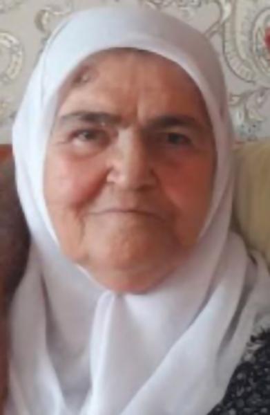 seçer60590602_n.jpg
