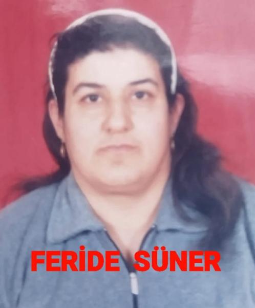 süner95405_n.jpeg