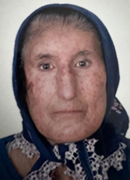 taç73275988_n.jpg