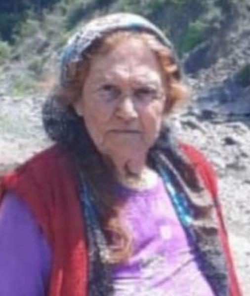 yaldız4962015303_n.jpg