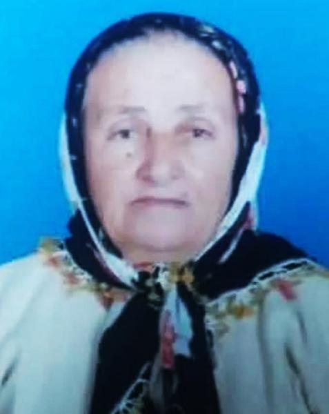 zeytun6467750jpg.jpg