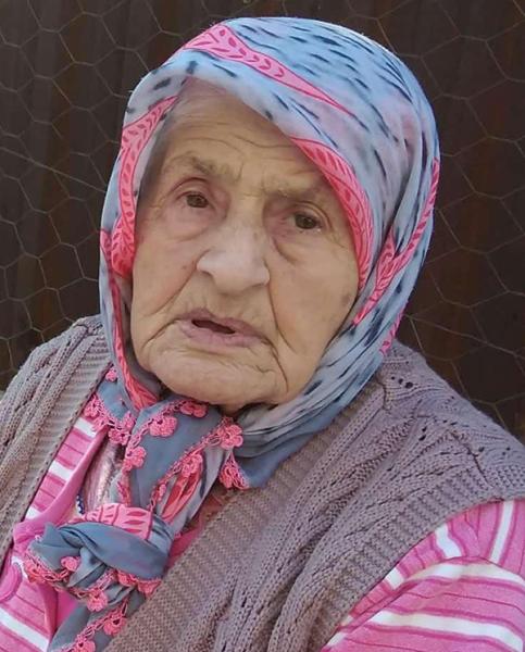 şahin662924_n.jpg